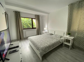 Morii Lake Apartaments & Studios